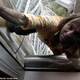 Image for article titled The Greatest Daredevils Of All Time